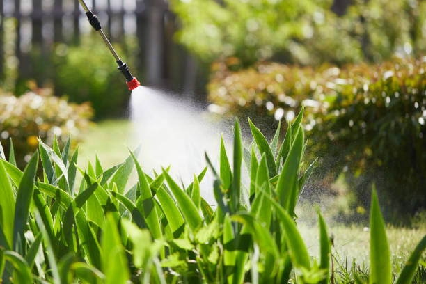 Tamper-Resistant Bait Stations for Rodents in Jackson